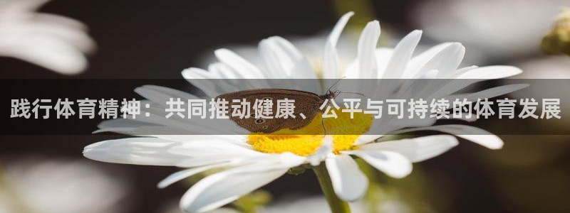 践行体育精神：共同推动健康、公平与可持续的体育发展