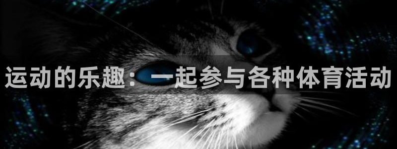 运动的乐趣：一起参与各种体育活动