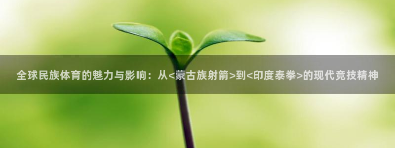 全球民族体育的魅力与影响：从<蒙古族射箭>到<印度泰拳>的现代竞技精神