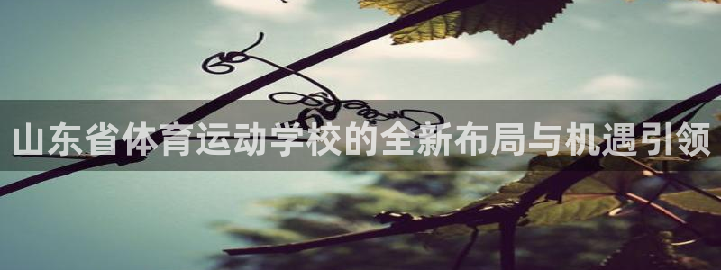 山东省体育运动学校的全新布局与机遇引领