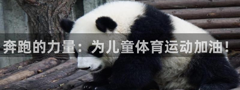 奔跑的力量：为儿童体育运动加油！
