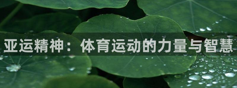 亚运精神：体育运动的力量与智慧