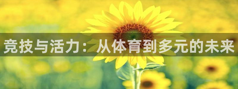 竞技与活力：从体育到多元的未来