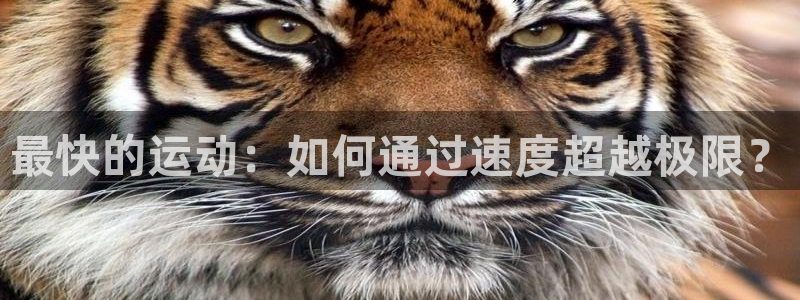 最快的运动：如何通过速度超越极限？