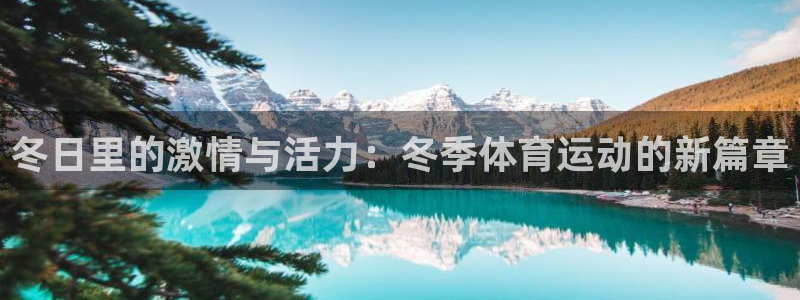 冬日里的激情与活力：冬季体育运动的新篇章