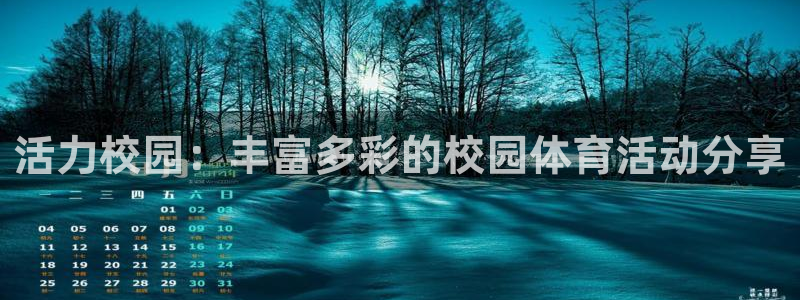 活力校园：丰富多彩的校园体育活动分享