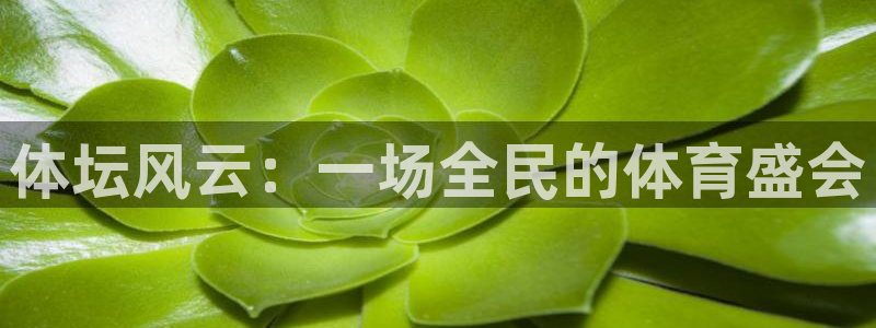 体坛风云：一场全民的体育盛会