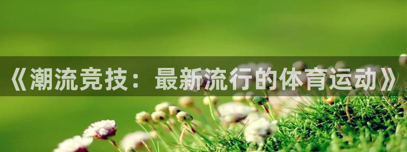 《潮流竞技：最新流行的体育运动》